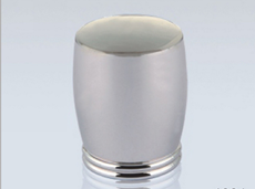 Mod. 1031